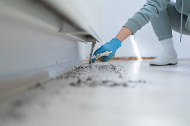 Best Cockroach Control Services  in Shady Hills, FL