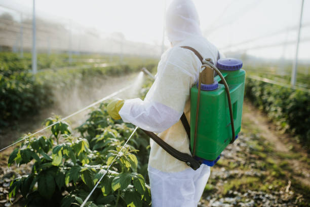 Best Best Pest Control Companies  in Shady Hills, FL